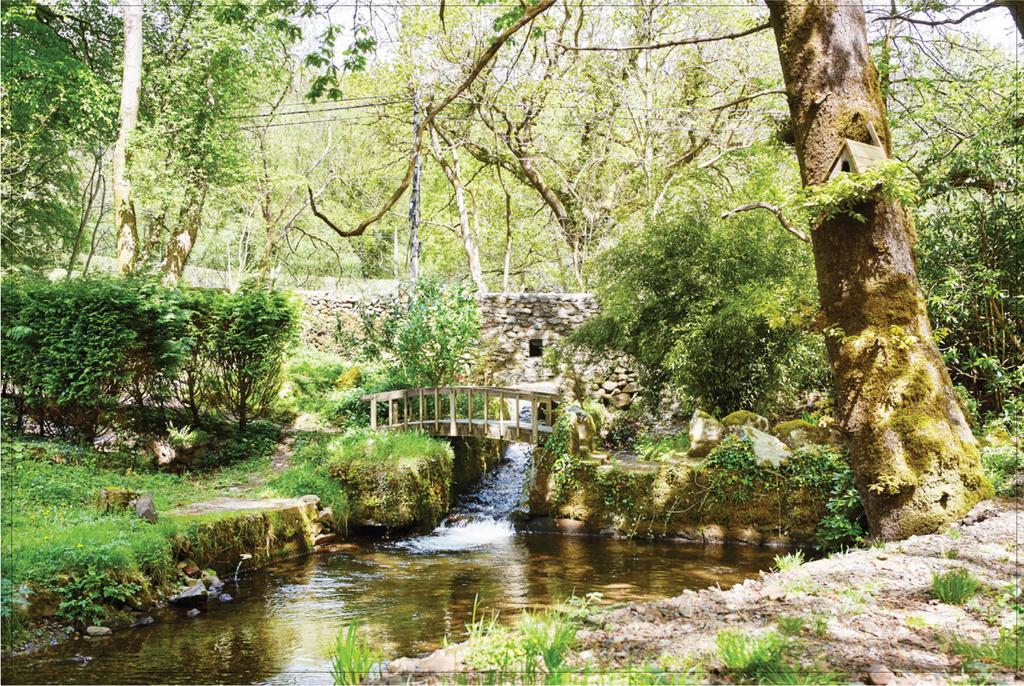 Afon Rhaiadr Country House Hotel Dolgellau Exterior foto